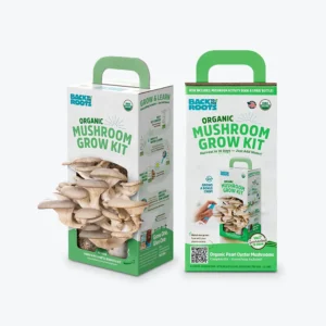 Custom Mushroom Kit Packaging