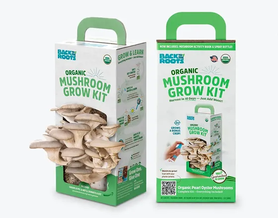 Mushroom Kit Box Kolaxo Packaging