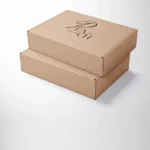 Hair Fiber Kraft Boxes